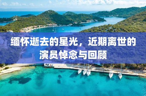缅怀逝去的星光，近期离世的演员悼念与回顾