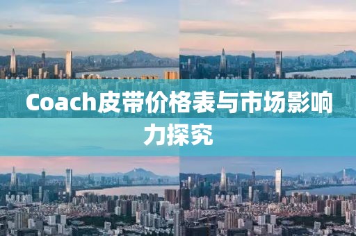 Coach皮带价格表与市场影响力探究