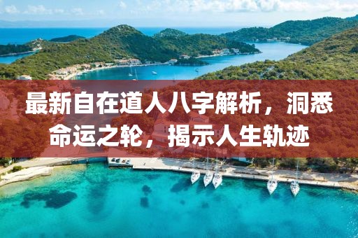 最新自在道人八字解析，洞悉命运之轮，揭示人生轨迹
