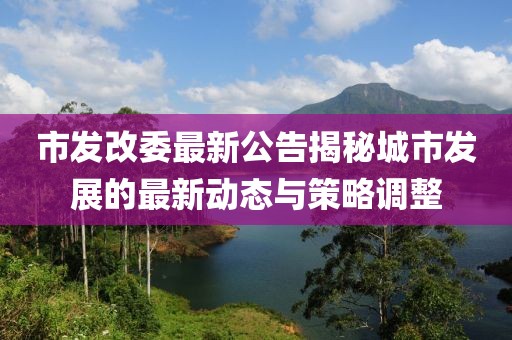 市发改委最新公告揭秘城市发展的最新动态与策略调整