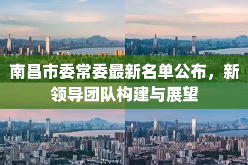 南昌市委常委最新名单公布，新领导团队构建与展望