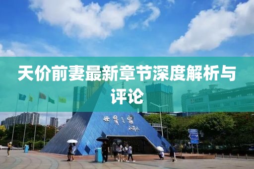 天价前妻最新章节深度解析与评论