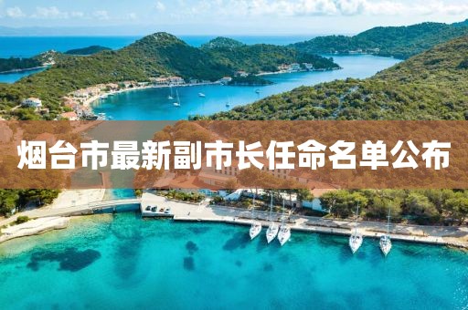 烟台市最新副市长任命名单公布