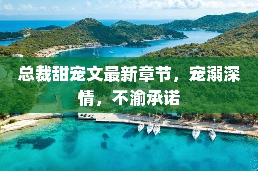 总裁甜宠文最新章节，宠溺深情，不渝承诺