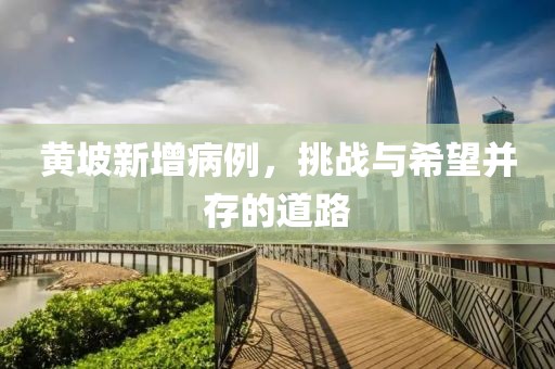 黄坡新增病例，挑战与希望并存的道路