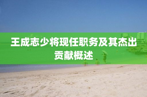 王成志少将现任职务及其杰出贡献概述