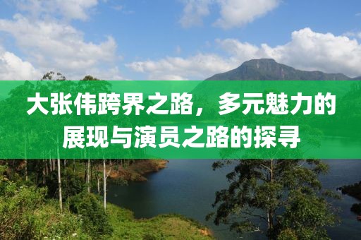 大张伟跨界之路，多元魅力的展现与演员之路的探寻