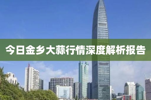 今日金乡大蒜行情深度解析报告