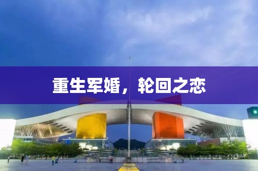 重生军婚，轮回之恋