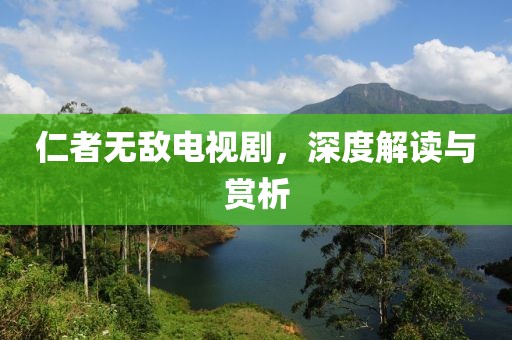 仁者无敌电视剧，深度解读与赏析
