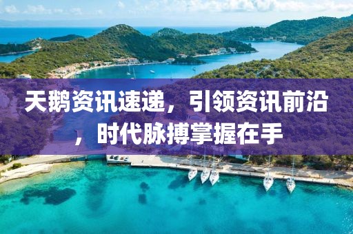 天鹅资讯速递，引领资讯前沿，时代脉搏掌握在手