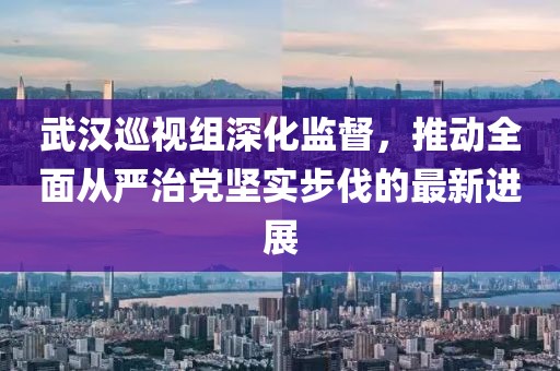 武汉巡视组深化监督，推动全面从严治党坚实步伐的最新进展