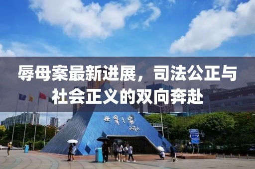 辱母案最新进展，司法公正与社会正义的双向奔赴