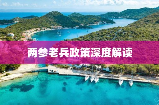 两参老兵政策深度解读
