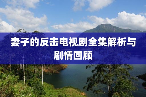 妻子的反击电视剧全集解析与剧情回顾