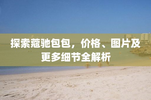 探索蔻驰包包，价格、图片及更多细节全解析