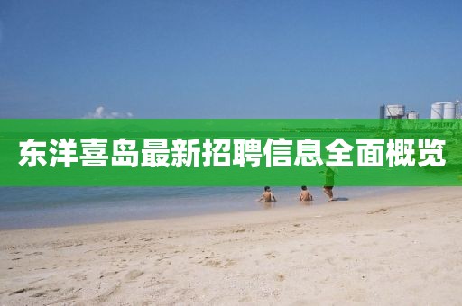 东洋喜岛最新招聘信息全面概览