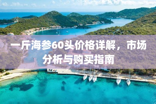 一斤海参60头价格详解，市场分析与购买指南