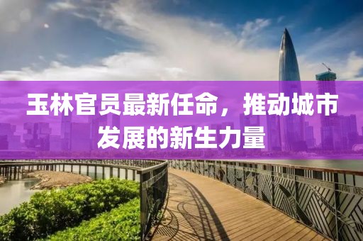 玉林官员最新任命，推动城市发展的新生力量