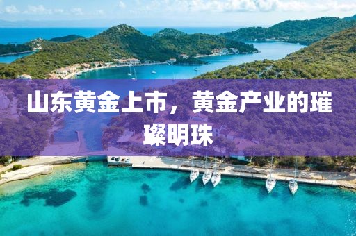 山东黄金上市，黄金产业的璀璨明珠