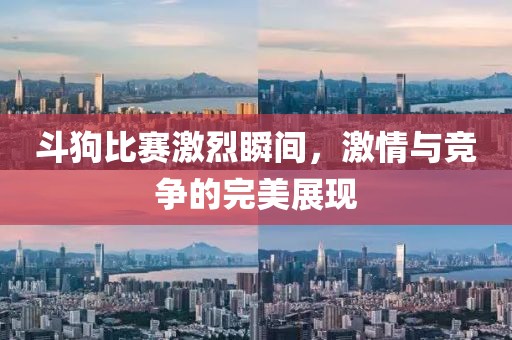 斗狗比赛激烈瞬间，激情与竞争的完美展现