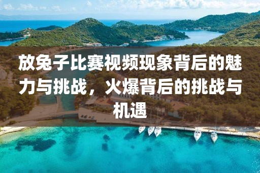 放兔子比赛视频现象背后的魅力与挑战，火爆背后的挑战与机遇