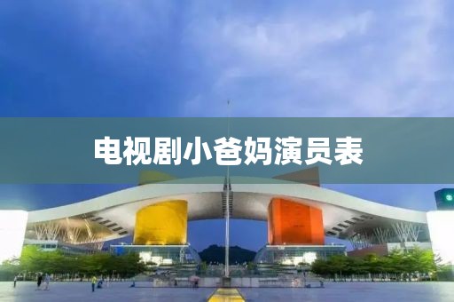 电视剧小爸妈演员表