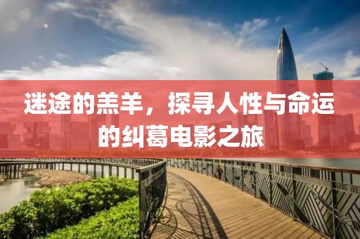迷途的羔羊，探寻人性与命运的纠葛电影之旅