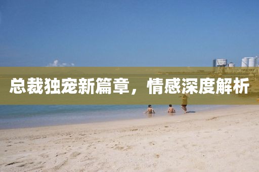 总裁独宠新篇章，情感深度解析