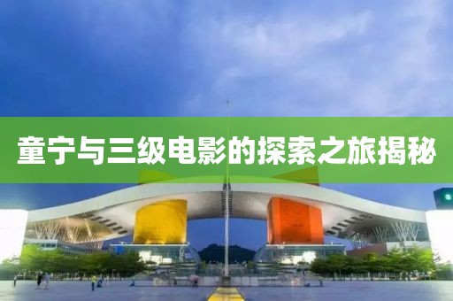 童宁与三级电影的探索之旅揭秘