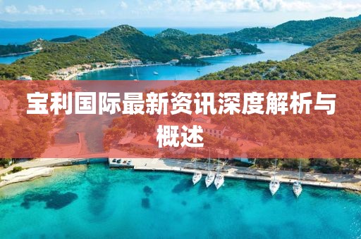 宝利国际最新资讯深度解析与概述