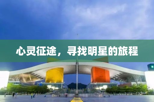 心灵征途，寻找明星的旅程