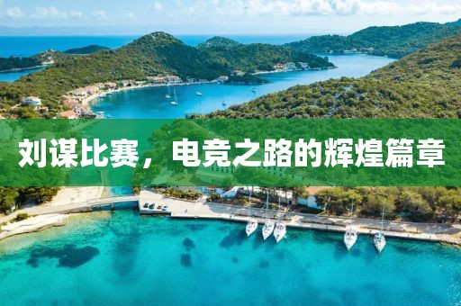 刘谋比赛，电竞之路的辉煌篇章