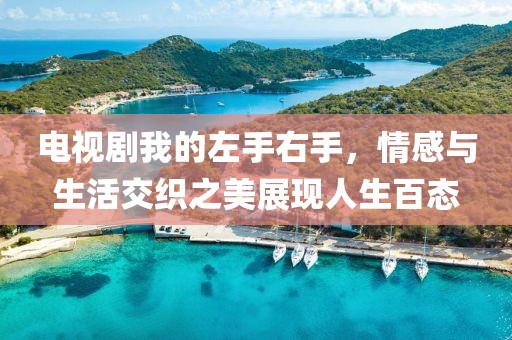 电视剧我的左手右手，情感与生活交织之美展现人生百态