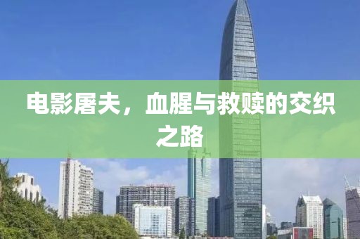 电影屠夫，血腥与救赎的交织之路