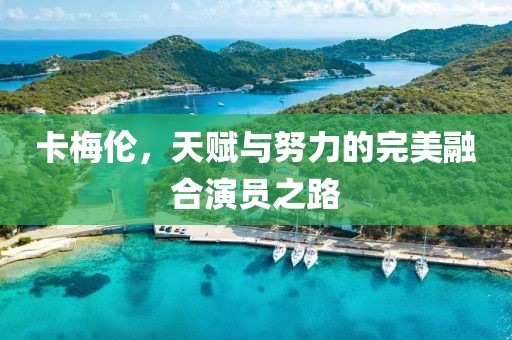 卡梅伦，天赋与努力的完美融合演员之路