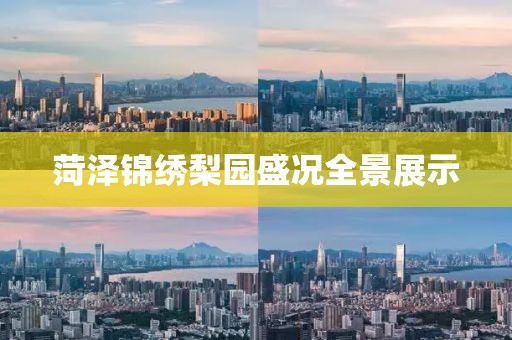 菏泽锦绣梨园盛况全景展示