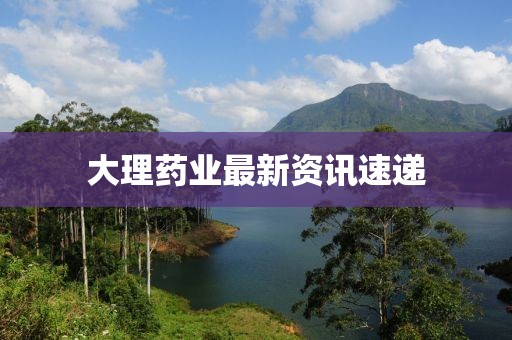 大理药业最新资讯速递