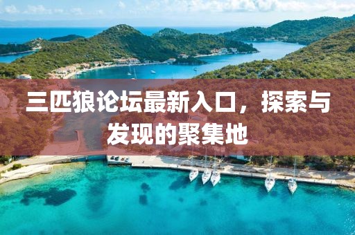 三匹狼论坛最新入口，探索与发现的聚集地