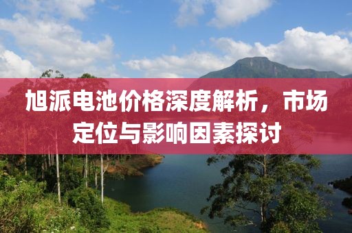 旭派电池价格深度解析，市场定位与影响因素探讨