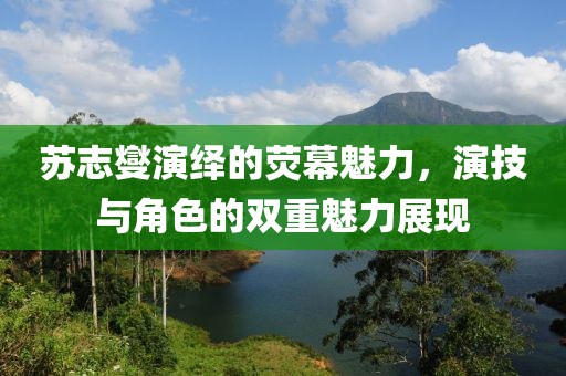 苏志燮演绎的荧幕魅力，演技与角色的双重魅力展现