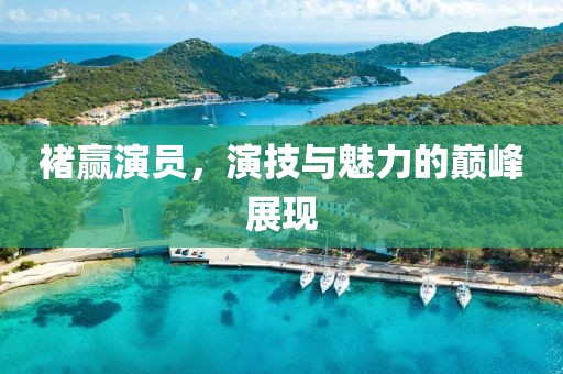 褚赢演员，演技与魅力的巅峰展现