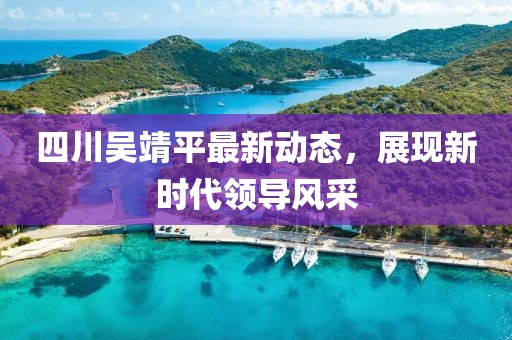 四川吴靖平最新动态，展现新时代领导风采