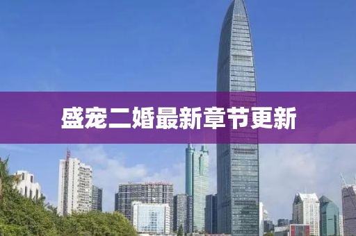盛宠二婚最新章节更新