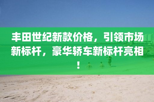 丰田世纪新款价格，引领市场新标杆，豪华轿车新标杆亮相！
