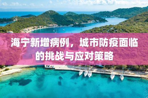 海宁新增病例，城市防疫面临的挑战与应对策略