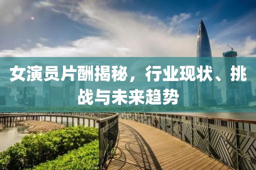 女演员片酬揭秘，行业现状、挑战与未来趋势