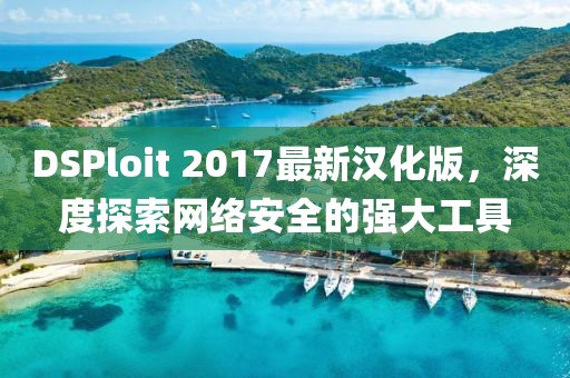 DSPloit 2017最新汉化版，深度探索网络安全的强大工具