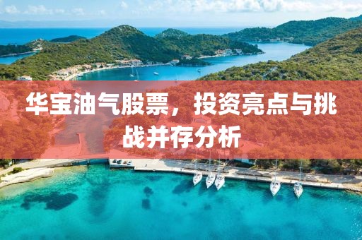 华宝油气股票，投资亮点与挑战并存分析