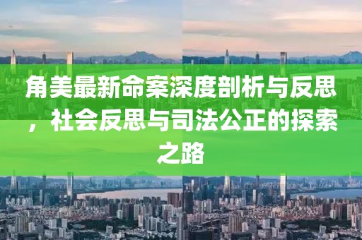 角美最新命案深度剖析与反思，社会反思与司法公正的探索之路